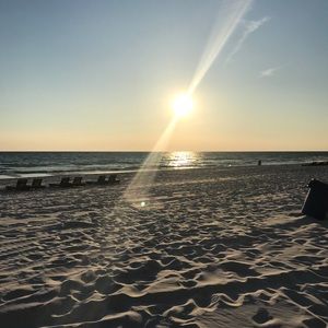 Meet your Posher, Lilly